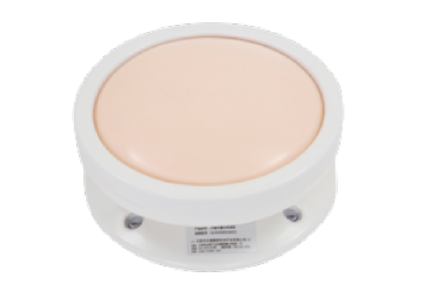 开腹关腹训练模型