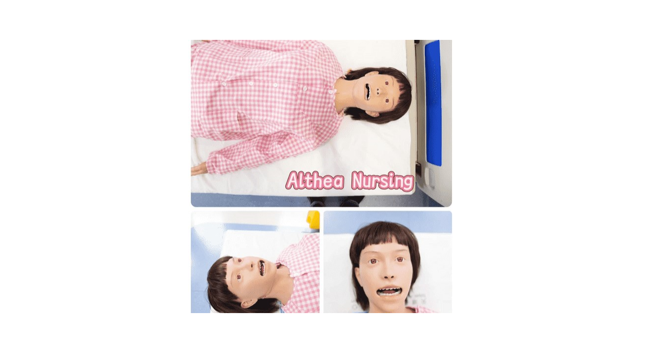 Althea Nursing/Silver Althea Nursing/Asher Nursing